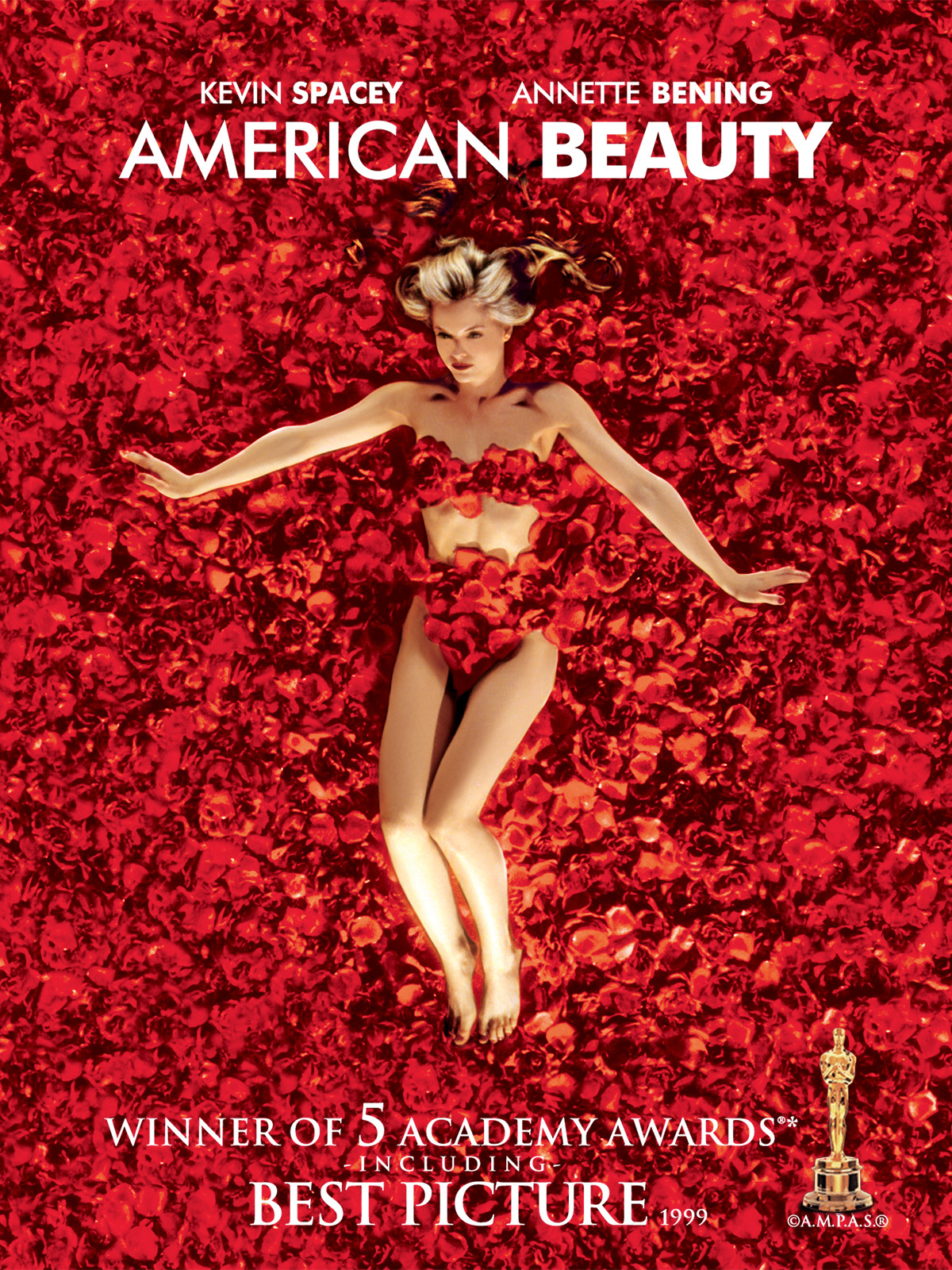 American Beauty [1080p] NF WEB-DL