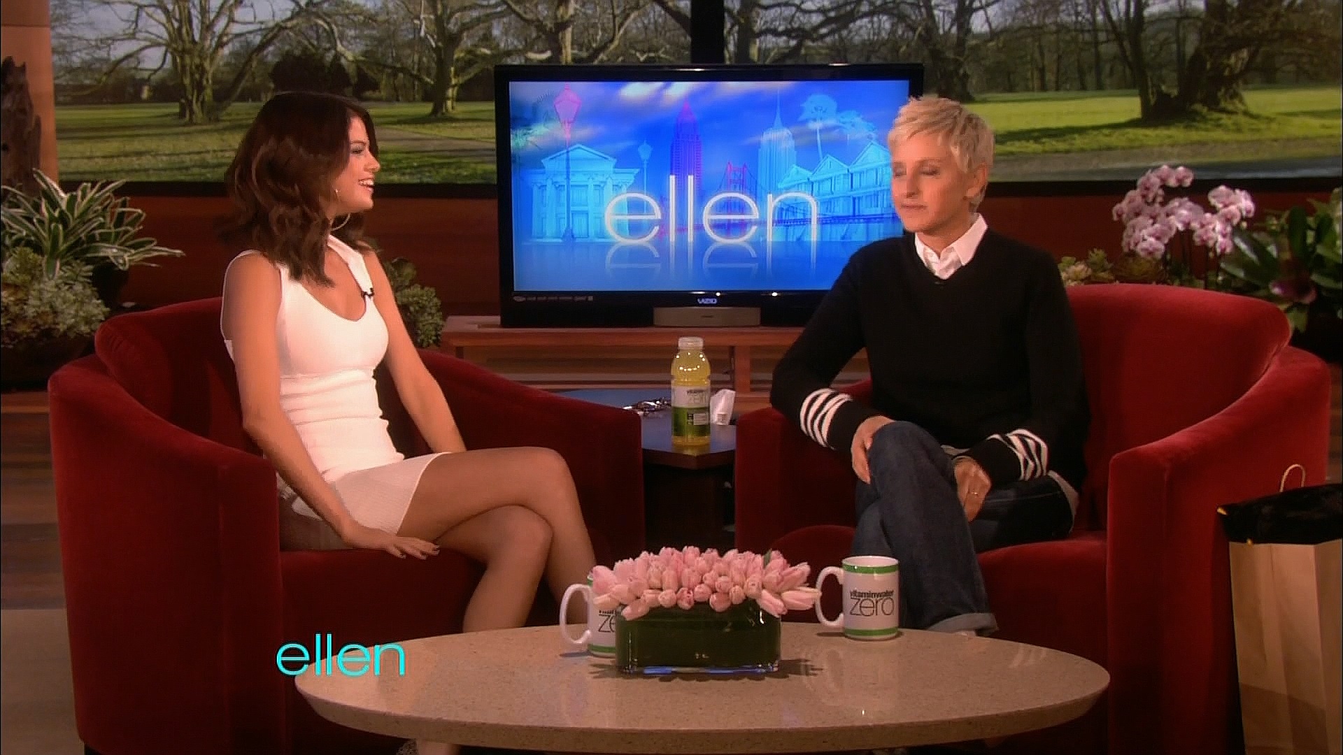 Ellen show vibrator