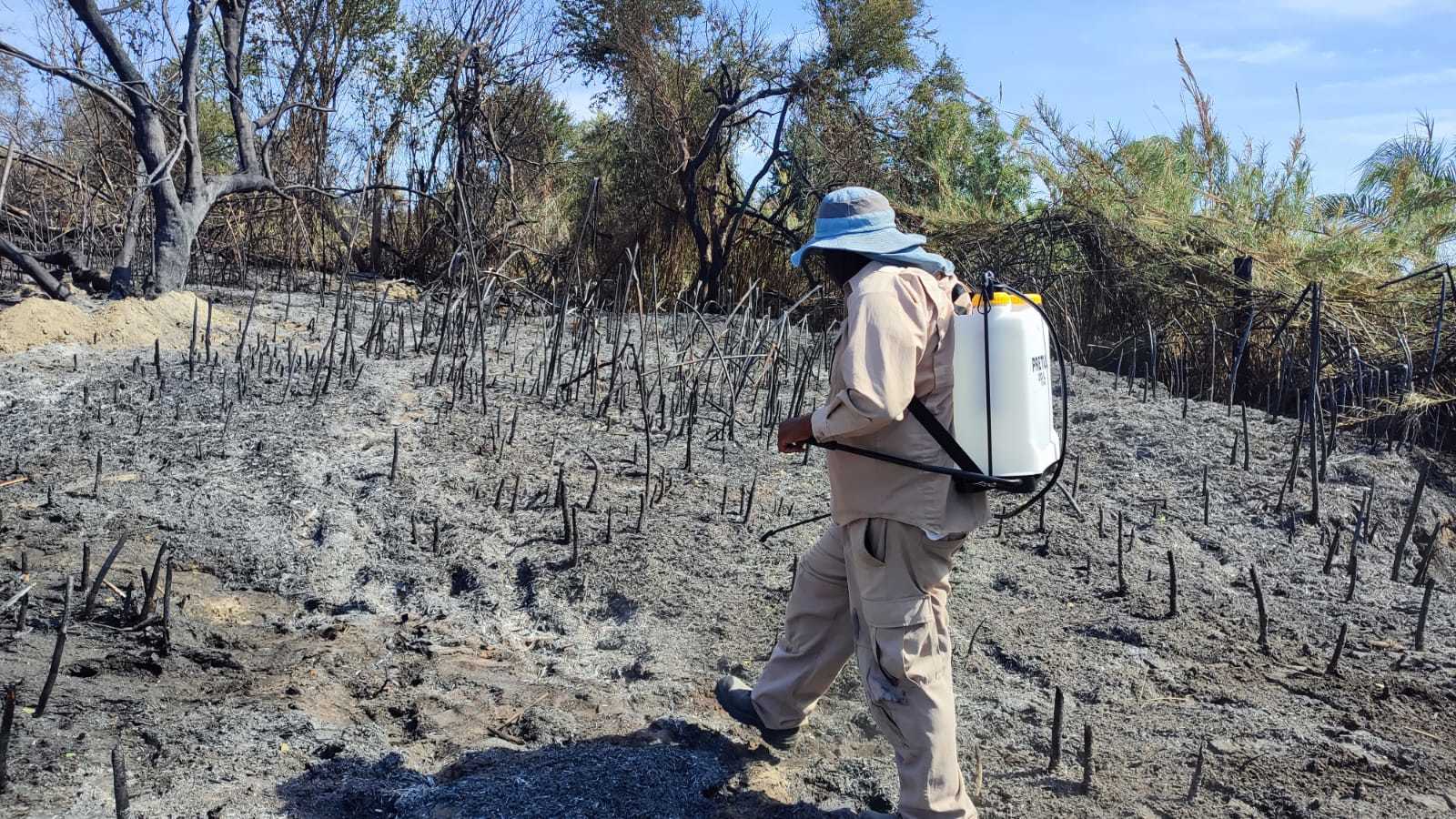 Realiza Dirección de Ecología y Medio Ambiente recorrido en zona