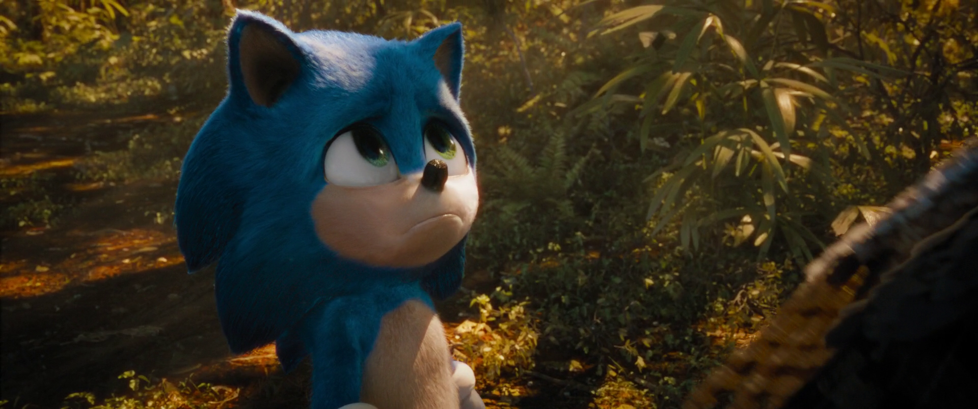 Sonic the Hedgehog (2020) WEB-DL 1080p Latino