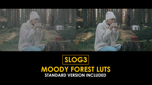 Slog3 Moody Forest And Standard Luts - VideoHive 51100335