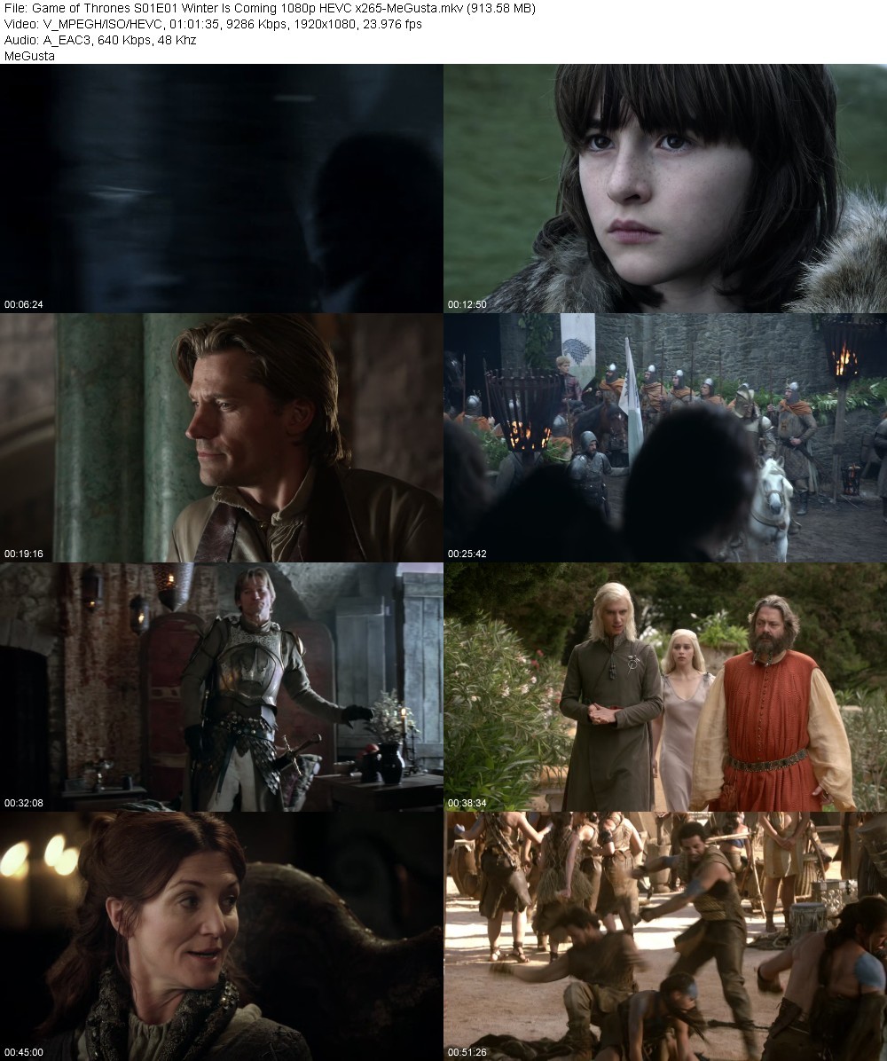 Game of Thrones S01E01 Winter Is Coming 1080p HEVC x265-MeGusta