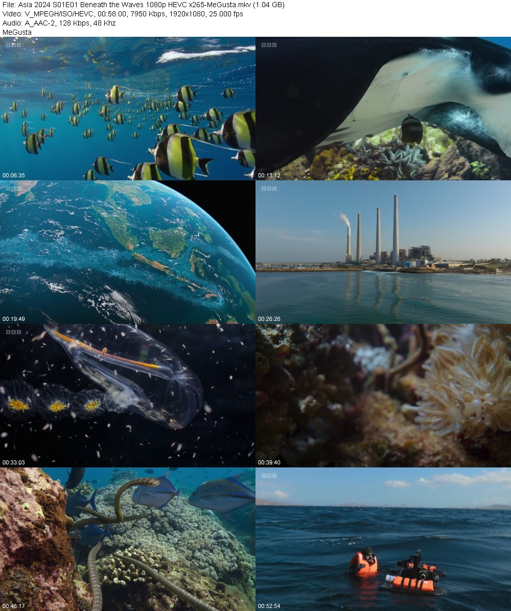 Asia 2024 S01E01 Beneath the Waves 1080p HEVC x265-MeGusta