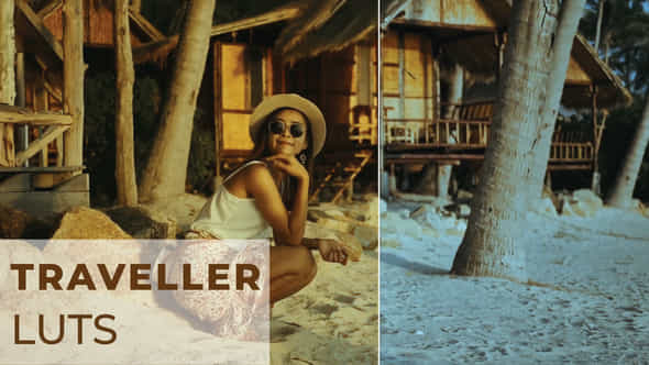 LUTs Traveller - VideoHive 42315136