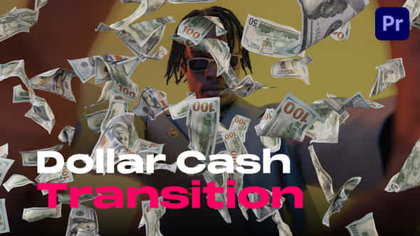 Dollar Cash Transitions - VideoHive 50173092