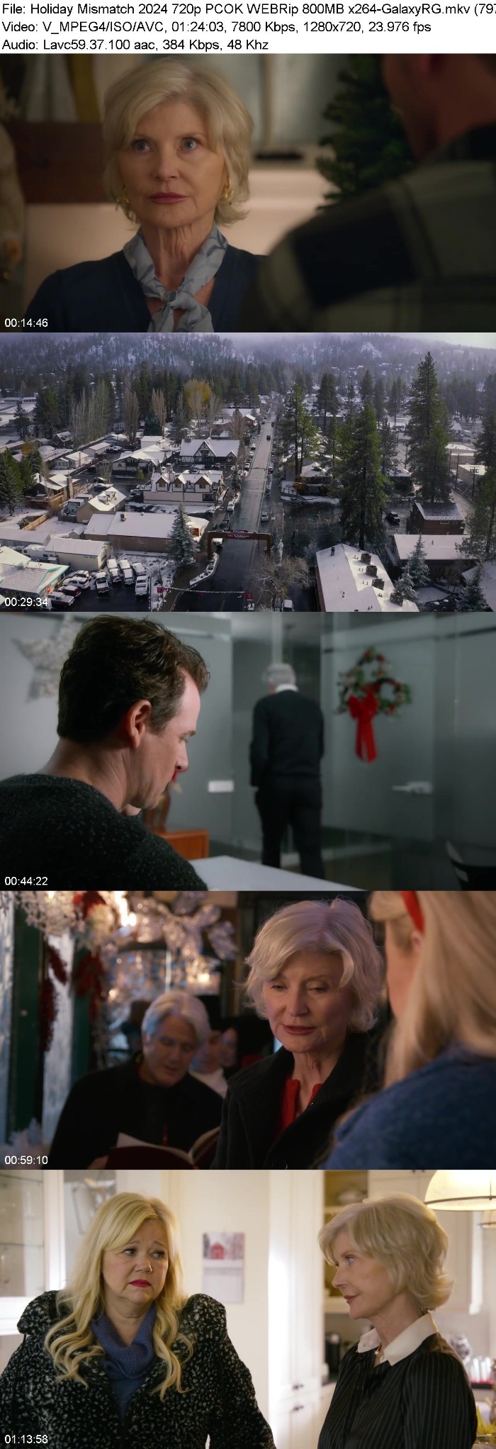 Holiday Mismatch (2024) 720p PCOK WEBRip 800MB x264-GalaxyRG SwtmFHd8_o