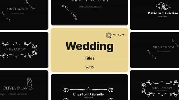 Wedding Titles Vol 13 - VideoHive 48928928