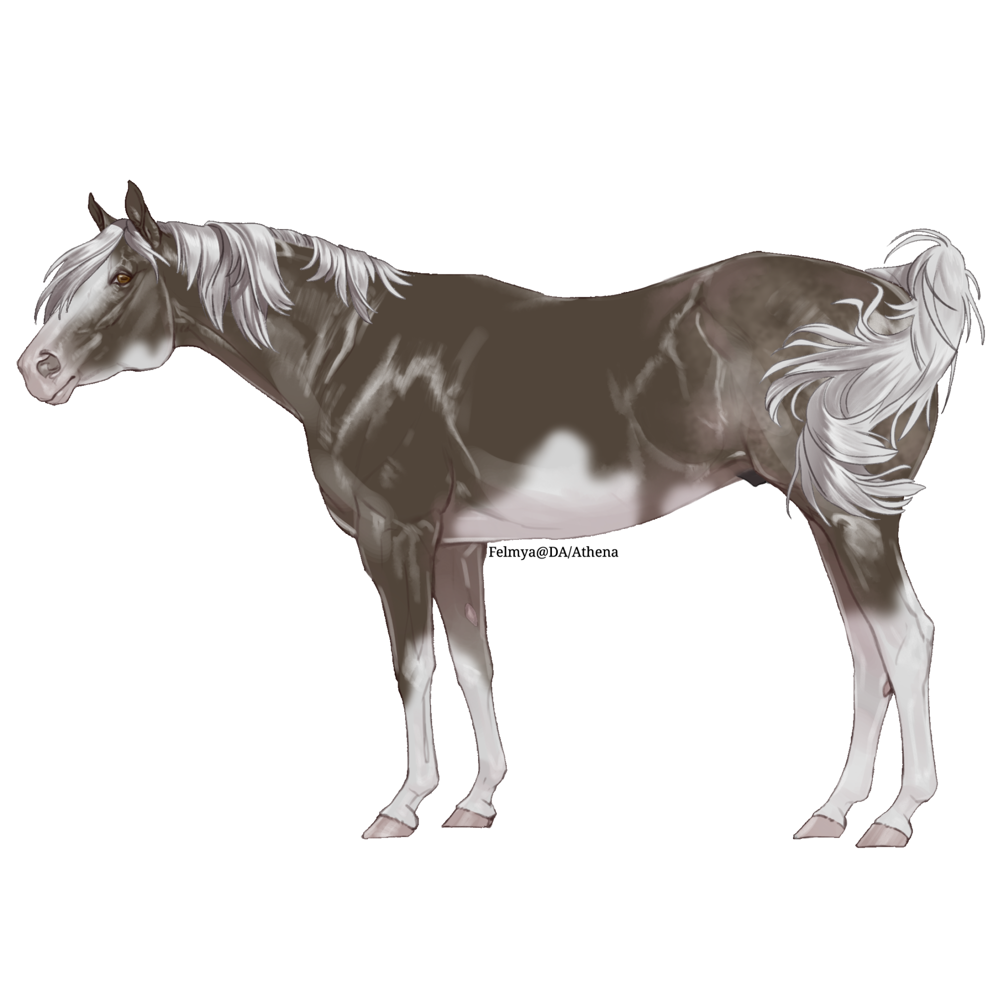 bLLhPaTe_o.png