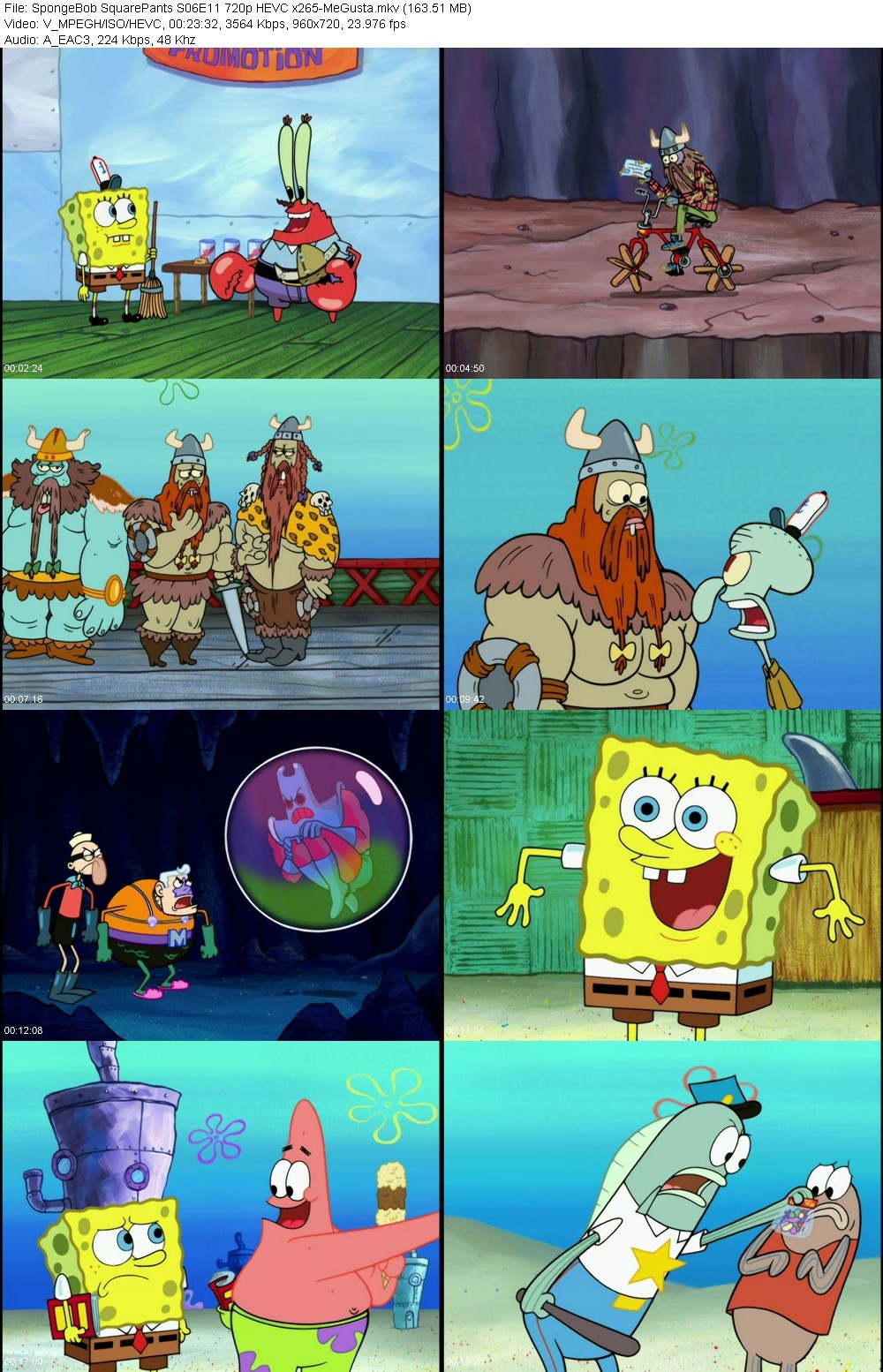 5D1K0O48_o.jpg