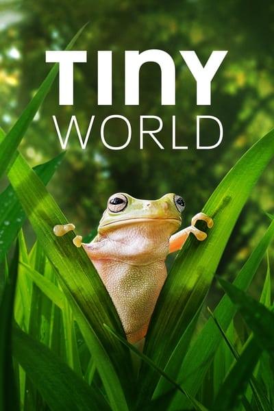 Tiny World S02E06 720p HEVC x265