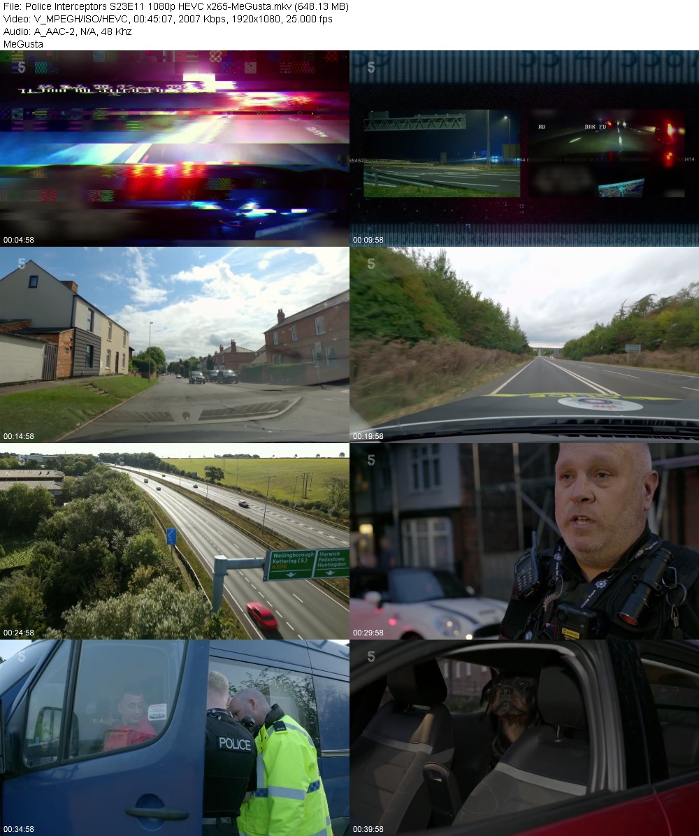 Police Interceptors S23E11 1080p HEVC x265-MeGusta