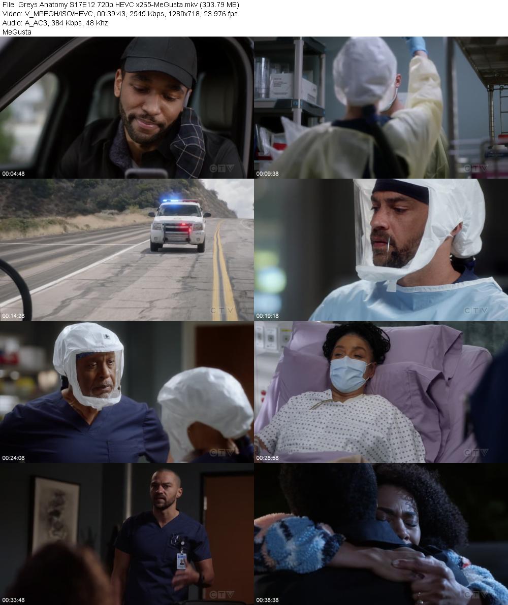 Greys Anatomy S17E12 720p HEVC x265