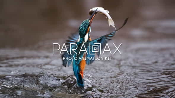 Parallax - Photo Animation Kit 4K | Miscellaneous - VideoHive 14995979