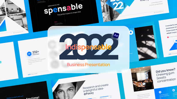 Indispensable Business Video - VideoHive 39452033