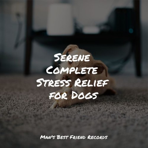 Pet Care Club - Serene Complete Stress Relief for Dogs - 2022