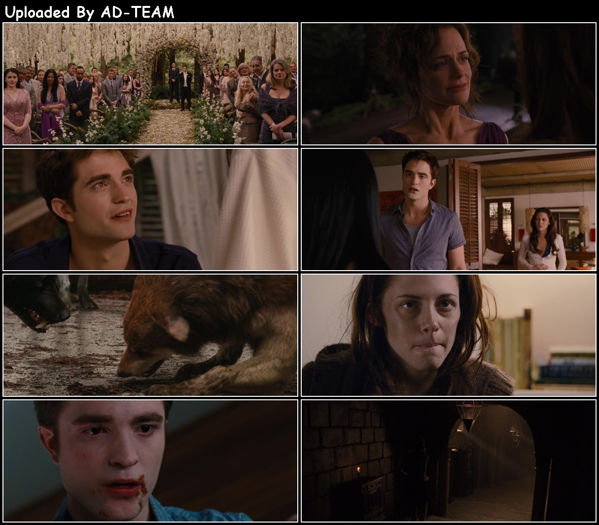 The Twilight Saga Breaking Dawn Part 1 2011 PROPER 1080p BluRay H264 AAC-RARBG UfjwkjF7_o