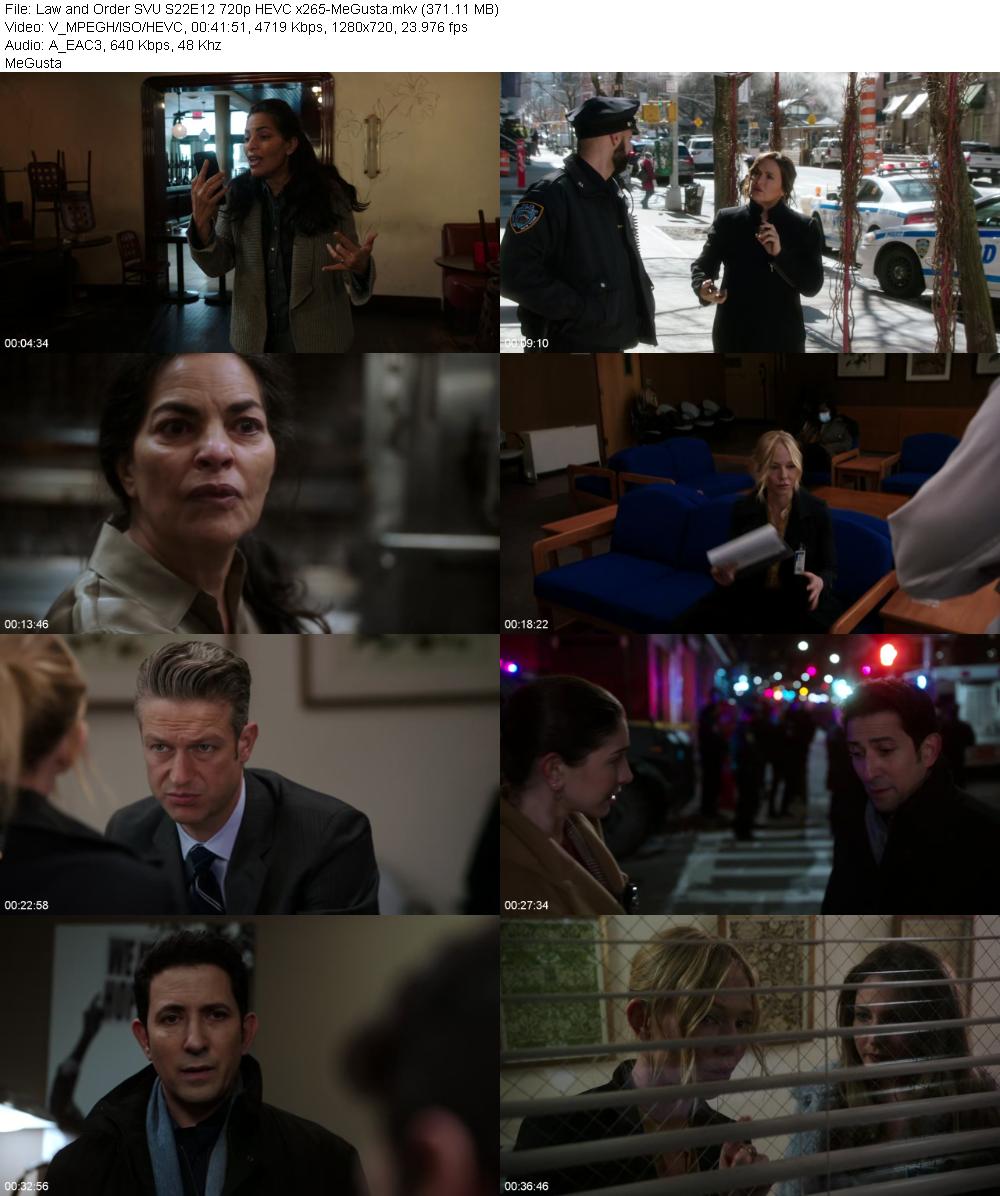 Law and Order SVU S22E12 720p HEVC x265