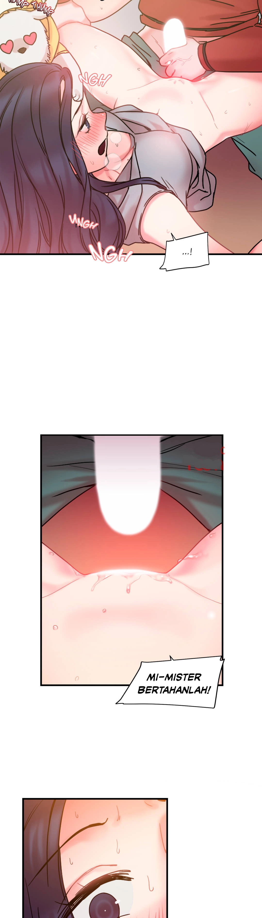image host