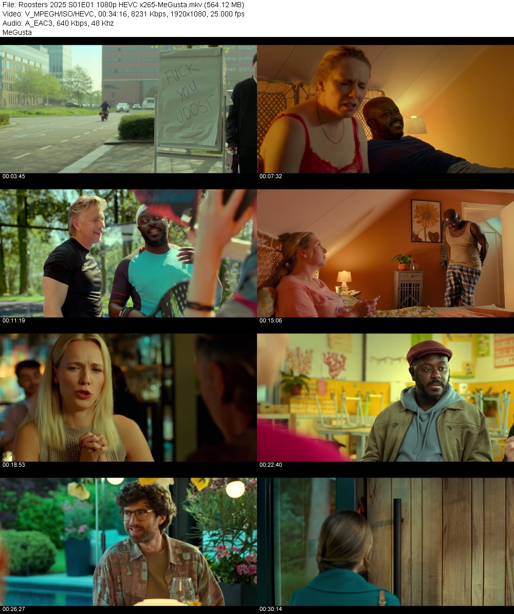 Roosters 2025 S01E01 1080p HEVC x265-MeGusta