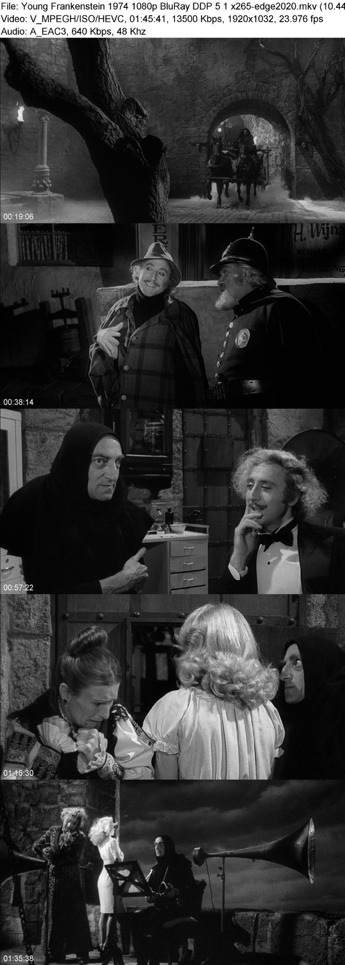 Young Frankenstein (1974) 1080p BluRay DDP 5 1 x265-edge2020