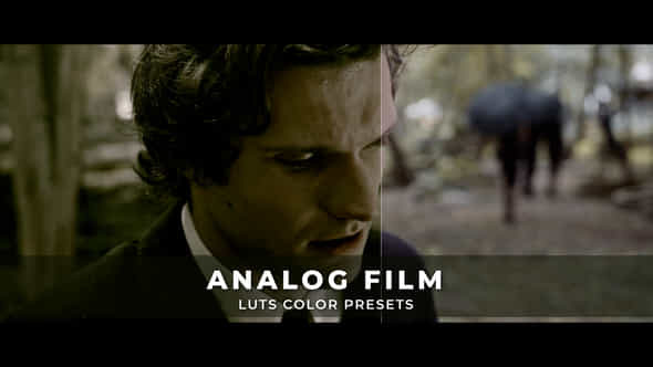 Analog Film Luts - VideoHive 43556237