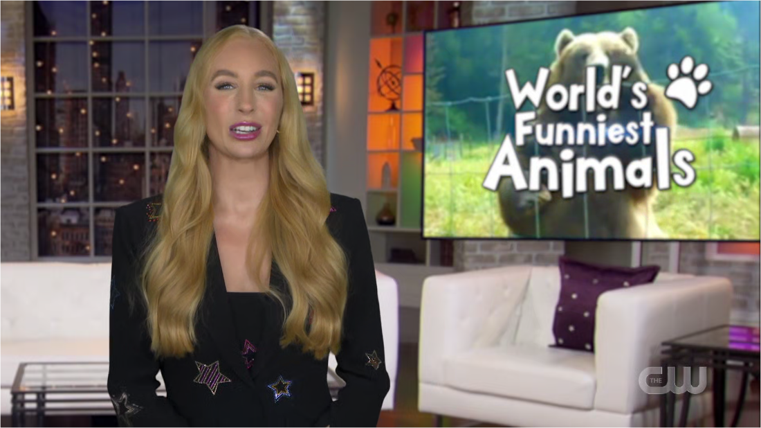 Worlds Funniest Animals S04E08 [1080p] (x265) WQtSIbad_o