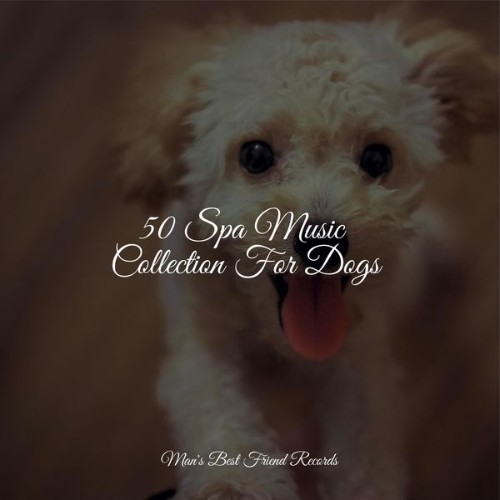 Music for Calming Dogs - 50 Spa Music Collection For Dogs - 2022