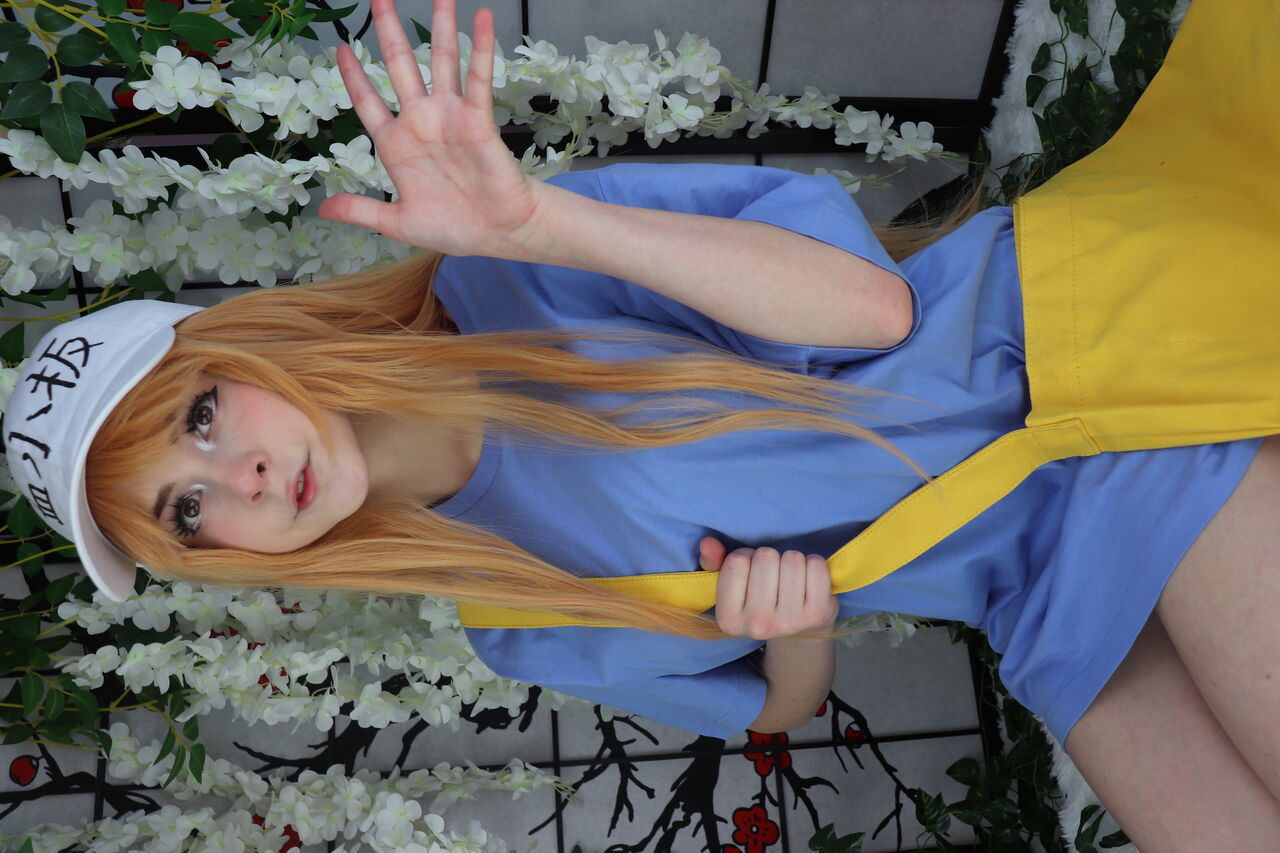 Melondoki - Platelet