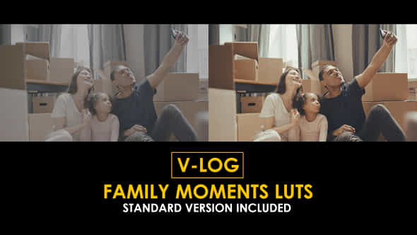 Vlog Family Moments And Standard Luts - VideoHive 51280101