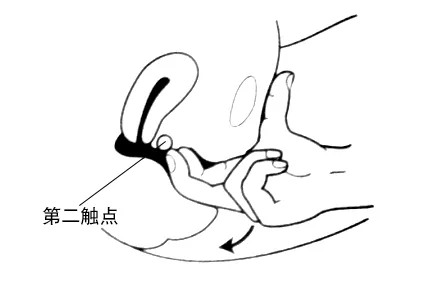 分泌爱液。