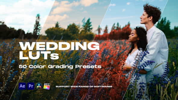 Colorify Wedding LUTs - VideoHive 35877709