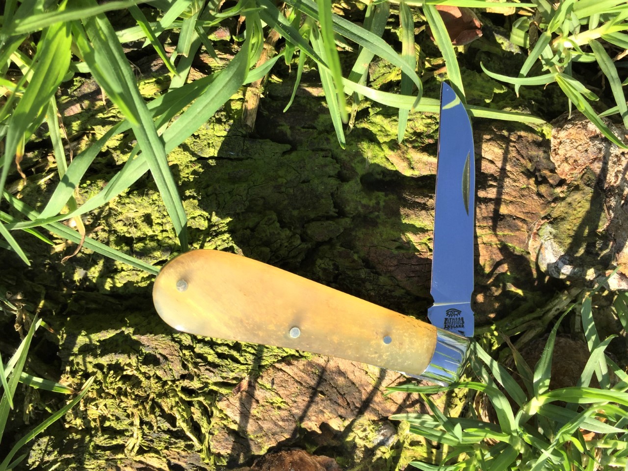 ZXFlB2oV_o.jpg