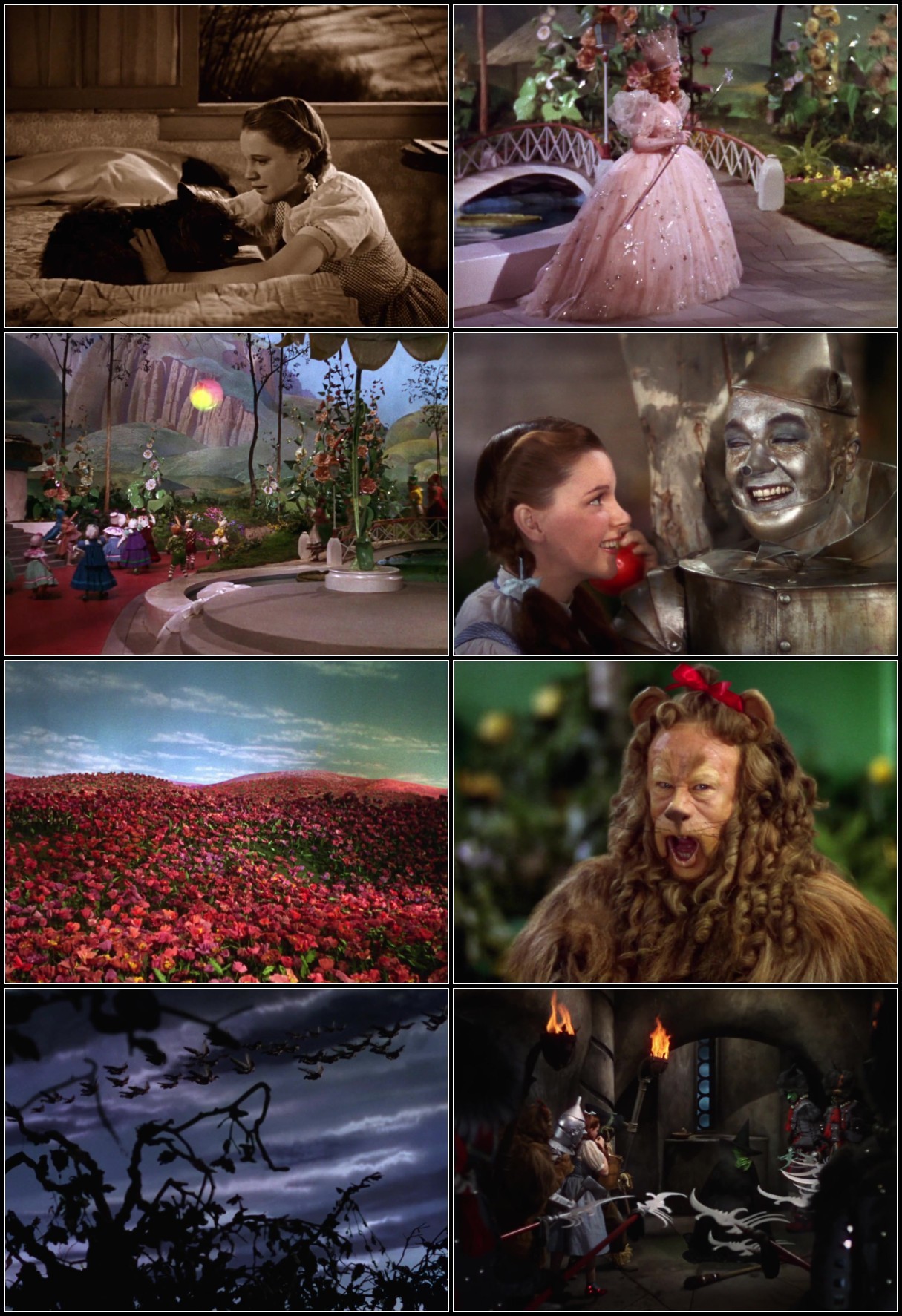 The Wizard Of Oz (1939) 75th Anniversary Multi Subs 1080p BluRay x264 -88 EtE7Jakw_o