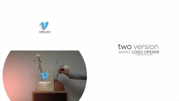 Simple 3d Logo - VideoHive 32175945