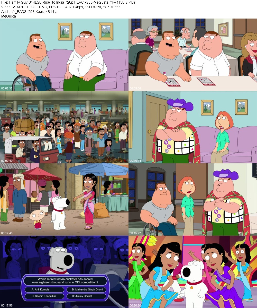 Family Guy S14E20 Road to India 720p HEVC x265-MeGusta