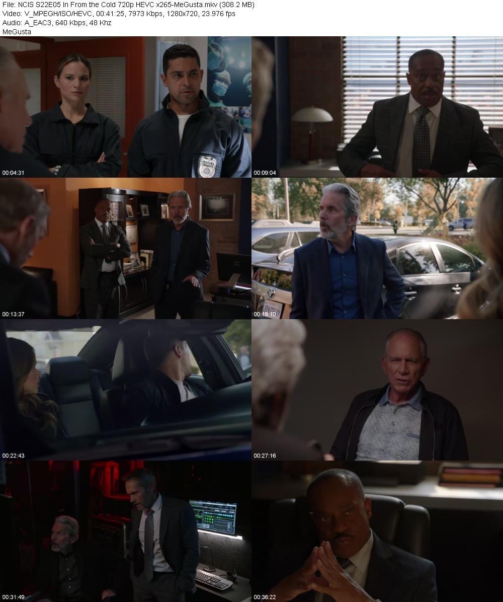 NCIS S22E05 In From the Cold 720p HEVC x265-MeGusta