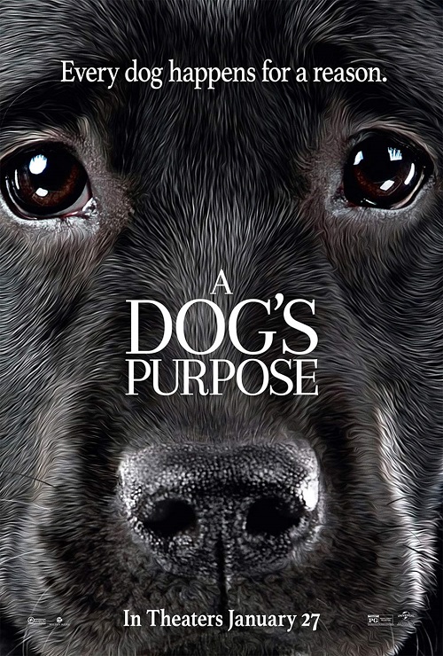 Był sobie pies / A Dog's Purpose (2017) MULTi.720p.BluRay.x264.DTS.AC3-DENDA / DUBBING i NAPISY PL + m720p