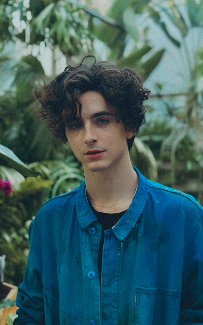 Timothée Chalamet  DspaLMNy_o