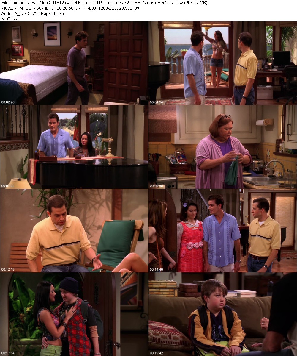 Two and a Half Men S01E12 Camel Filters and Pheromones 720p HEVC x265-MeGusta