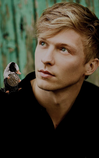 Will Tudor S6iS0egA_o