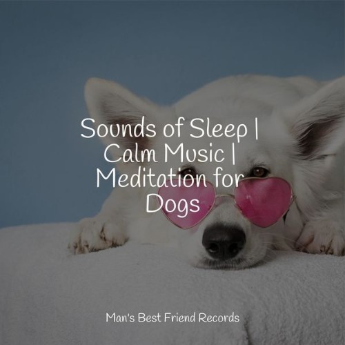Pet Care Club - Sounds of Sleep  Calm Music  Meditation for Dogs - 2022