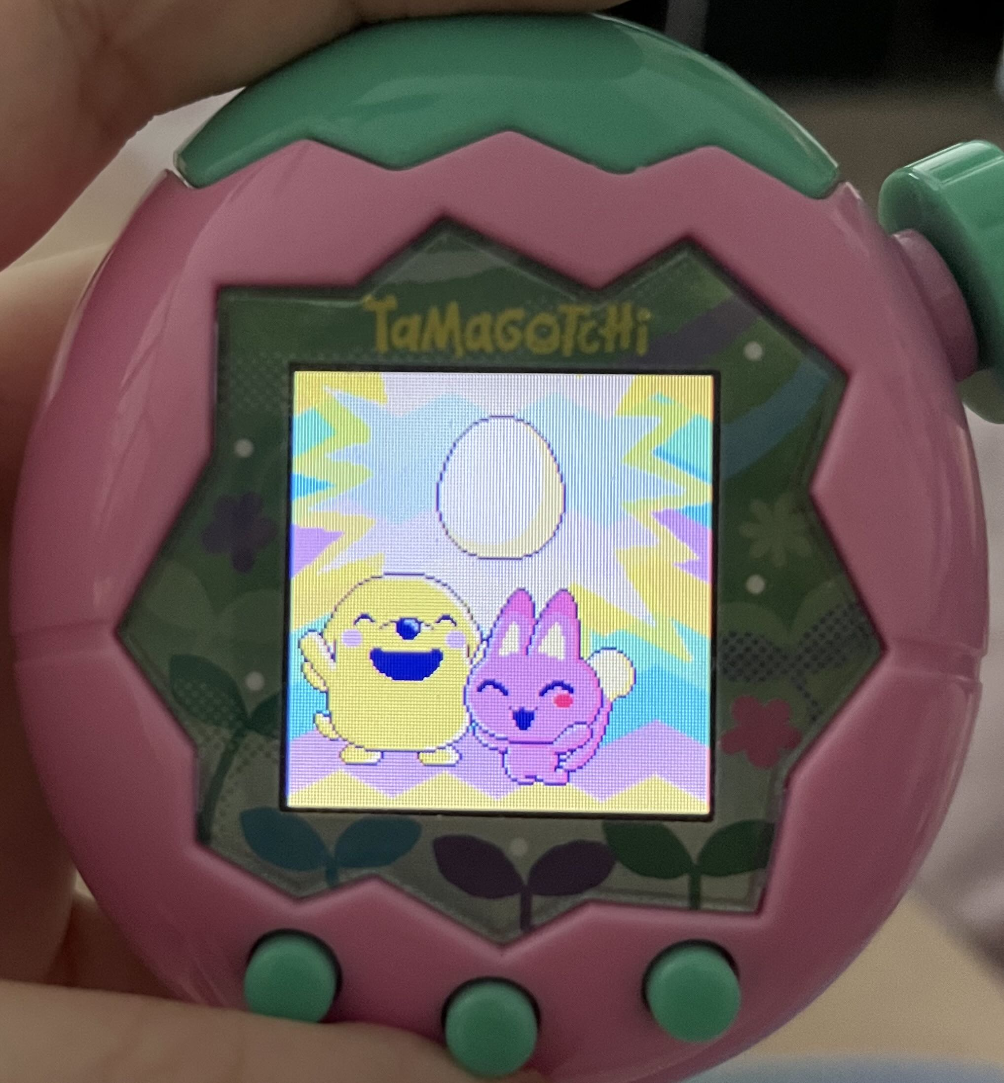 The pochitchi and meowtchi celebrate the new egg