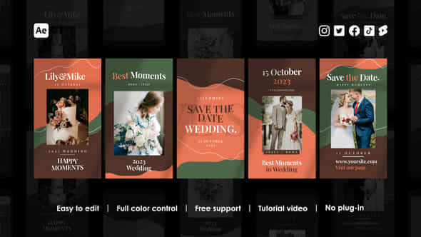 Wedding Instagram Reels - VideoHive 46735779