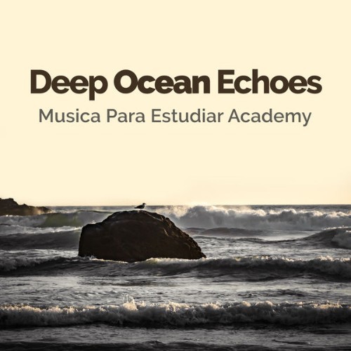 Musica para Estudiar Academy - Deep Ocean Echoes - 2019