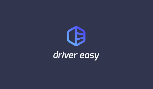 Driver Easy Professional 6.1.1 Build 29776