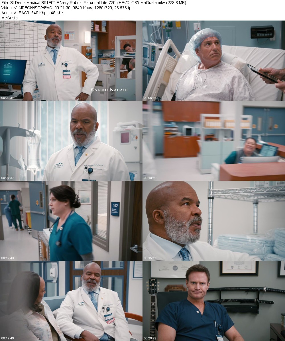 St Denis Medical S01E02 A Very Robust Personal Life 720p HEVC x265-MeGusta