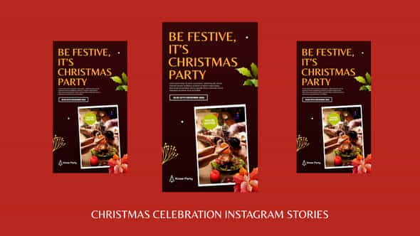 Christmas Celebration Instagram Stories - VideoHive 55785608