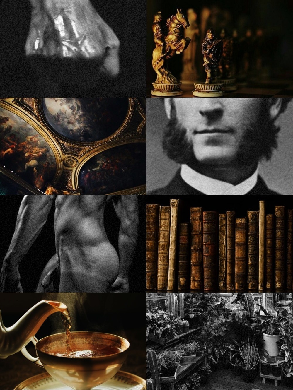 [aesthetic collage] be a fighter, be a gentleman - LionBee_13, WTF ...