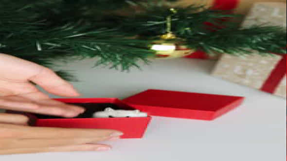 A Pet As A Gift For Christmas Boxes Under The Christmas Tree - VideoHive 46172388