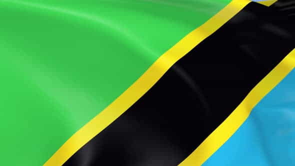 Tanzania Flag - VideoHive 23995938